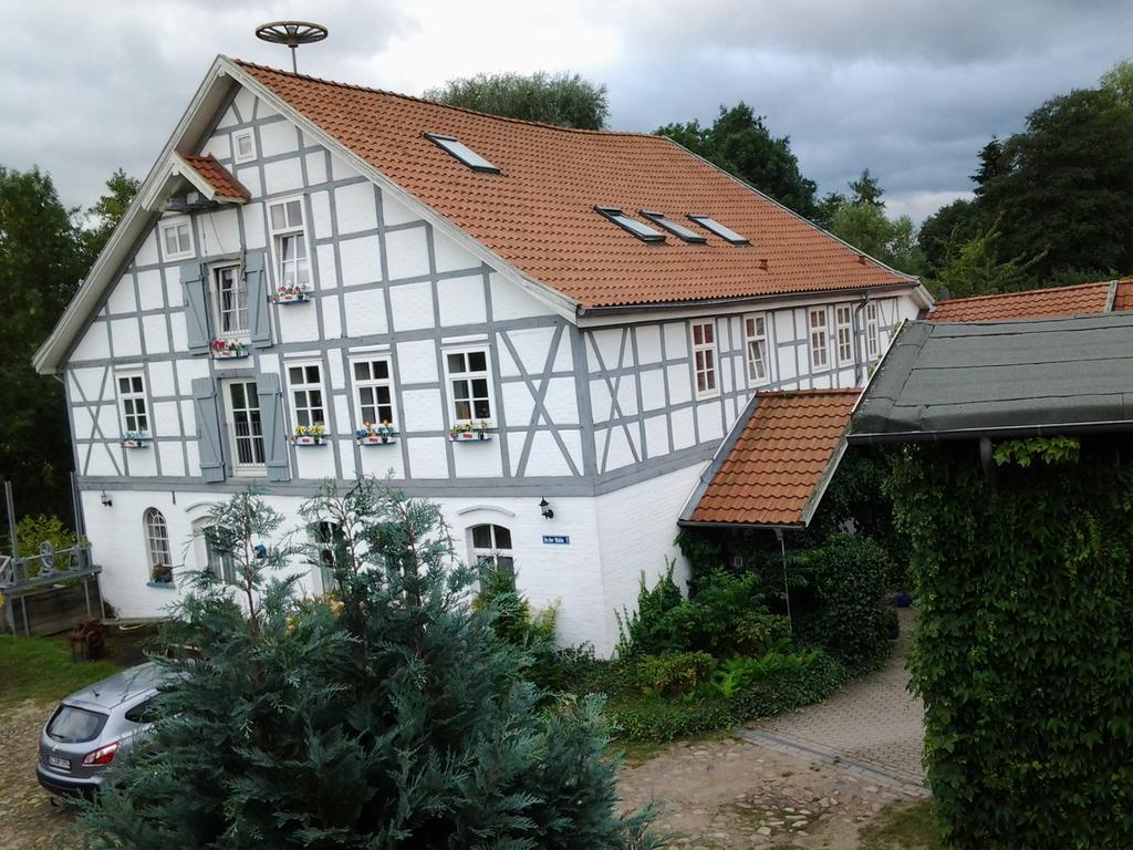 Oldenstadter Wassermuhle Uelzen Kültér fotó